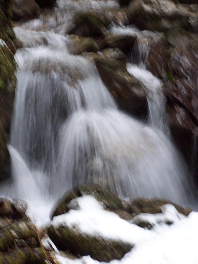 B&B Ai Pini Tiarno di Sopra エクステリア 写真
