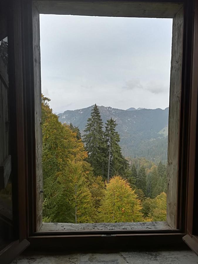 B&B Ai Pini Tiarno di Sopra エクステリア 写真