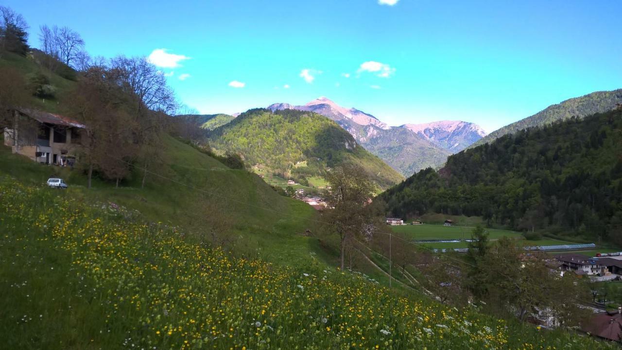 B&B Ai Pini Tiarno di Sopra エクステリア 写真