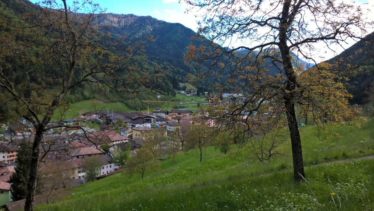 B&B Ai Pini Tiarno di Sopra エクステリア 写真